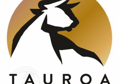 Tauroa Logoentwicklung