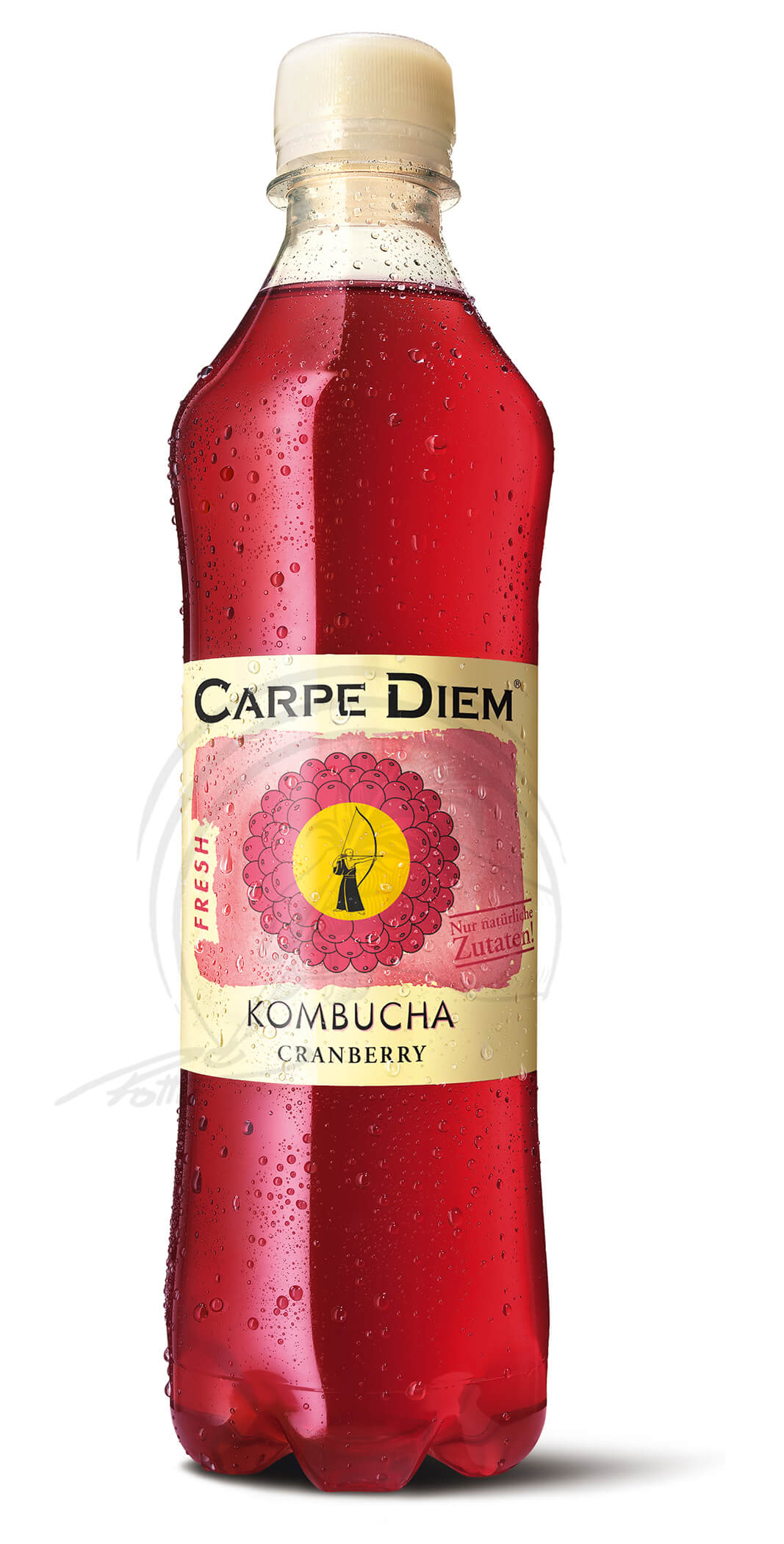 Carpe Diem Kombucha Cranberry