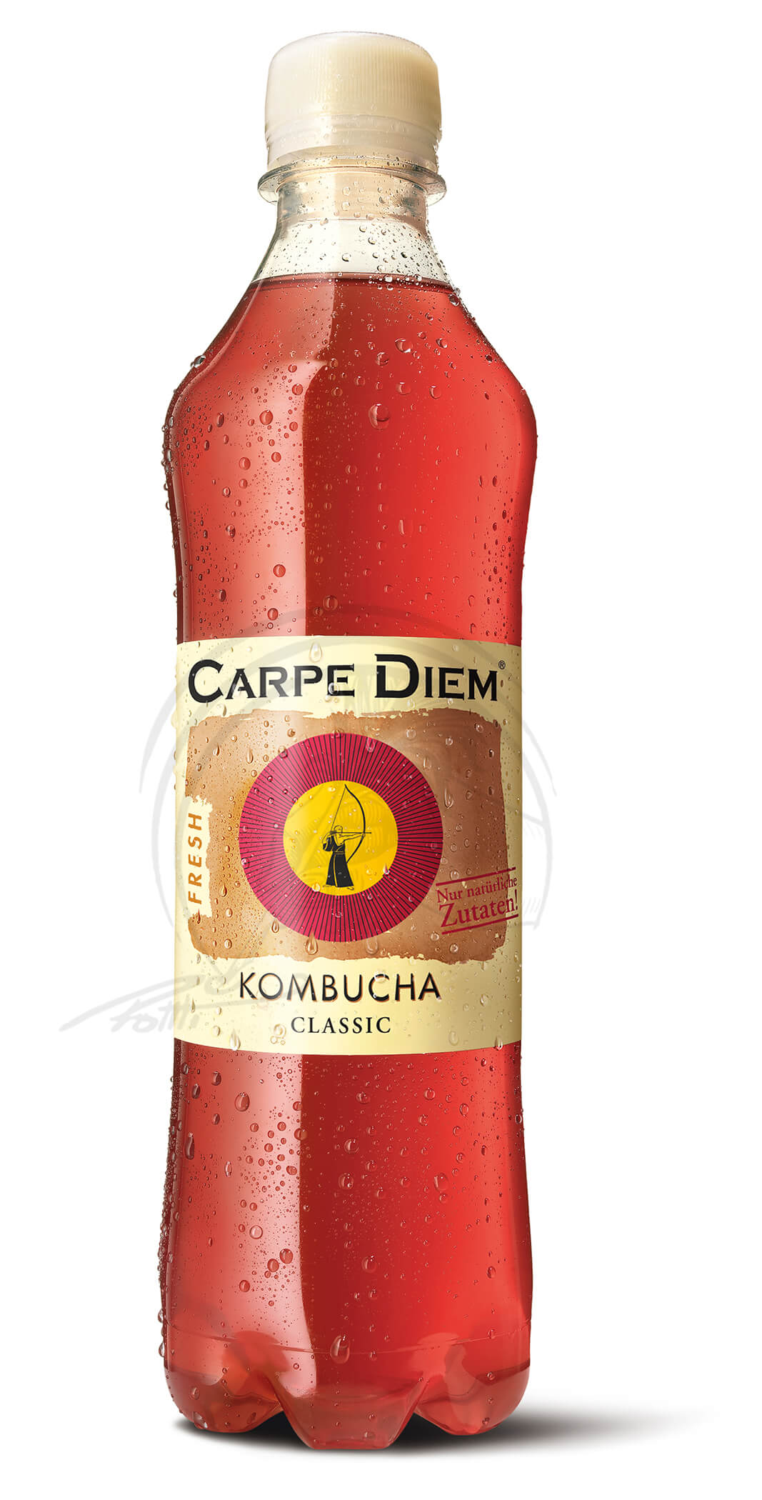 Carpe Diem Kombucha Classic